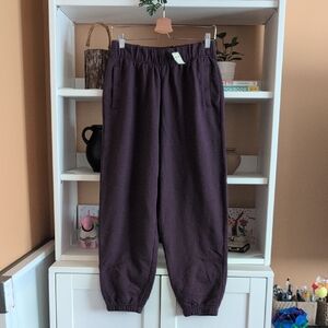 Aerie Jet Setter Jogger